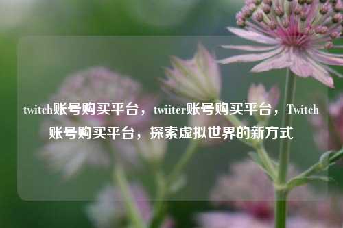 twitch账号购买平台，twiiter账号购买平台，Twitch账号购买平台，探索虚拟世界的新方式