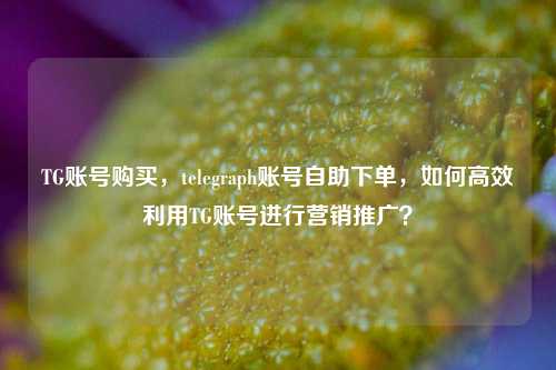 TG账号购买，telegraph账号自助下单，如何高效利用TG账号进行营销推广？