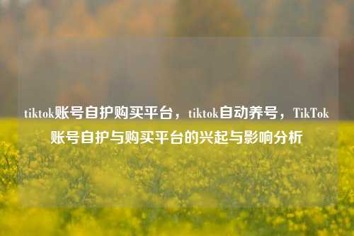 tiktok账号自护购买平台，tiktok自动养号，TikTok账号自护与购买平台的兴起与影响分析