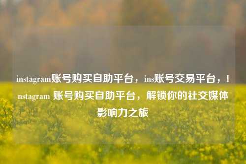 instagram账号购买自助平台，ins账号交易平台，Instagram 账号购买自助平台，解锁你的社交媒体影响力之旅