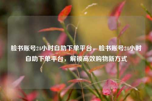 脸书账号24小时自助下单平台，脸书账号24小时自助下单平台，解锁高效购物新方式