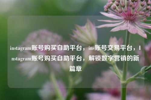 instagram账号购买自助平台，ins账号交易平台，Instagram账号购买自助平台，解锁数字营销的新篇章