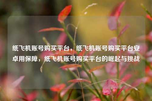 纸飞机账号购买平台，纸飞机账号购买平台安卓用保障，纸飞机账号购买平台的崛起与挑战