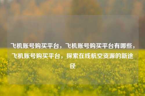 飞机账号购买平台，飞机账号购买平台有哪些，飞机账号购买平台，探索在线航空资源的新途径
