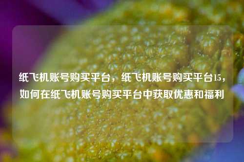 纸飞机账号购买平台，纸飞机账号购买平台15，如何在纸飞机账号购买平台中获取优惠和福利