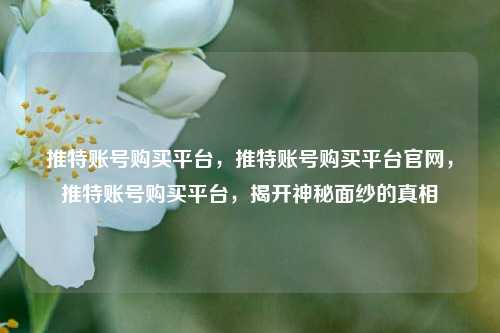 推特账号购买平台，推特账号购买平台官网，推特账号购买平台，揭开神秘面纱的真相