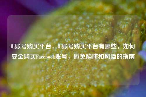 fb账号购买平台，fb账号购买平台有哪些，如何安全购买Facebook账号，避免陷阱和风险的指南