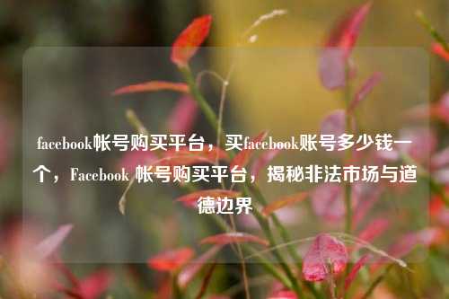 facebook帐号购买平台，买facebook账号多少钱一个，Facebook 帐号购买平台，揭秘非法市场与道德边界