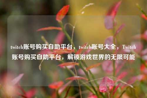 twitch账号购买自助平台，twitch账号大全，Twitch账号购买自助平台，解锁游戏世界的无限可能