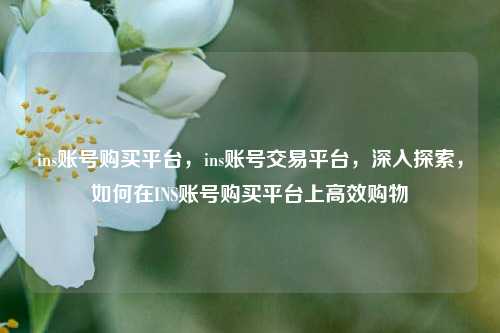 ins账号购买平台，ins账号交易平台，深入探索，如何在INS账号购买平台上高效购物
