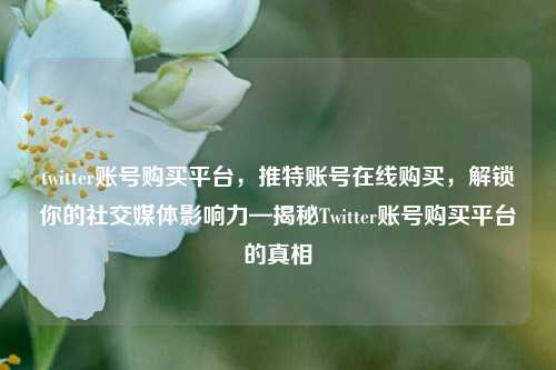 twitter账号购买平台，推特账号在线购买，解锁你的社交媒体影响力—揭秘Twitter账号购买平台的真相