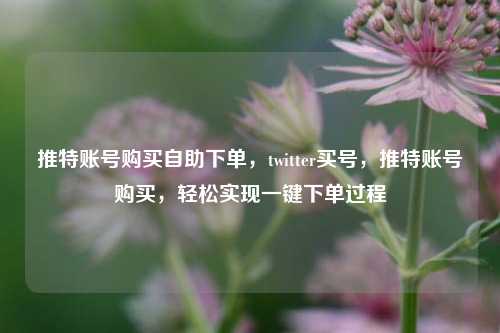 推特账号购买自助下单，twitter买号，推特账号购买，轻松实现一键下单过程