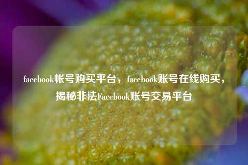 facebook帐号购买平台，facebook账号在线购买，揭秘非法Facebook账号交易平台