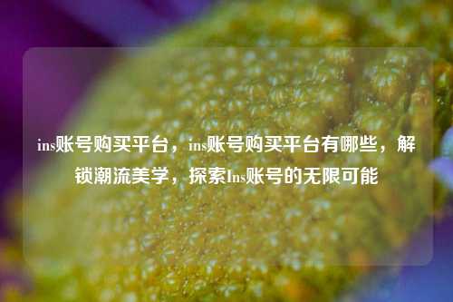 ins账号购买平台，ins账号购买平台有哪些	，解锁潮流美学，探索Ins账号的无限可能  第1张