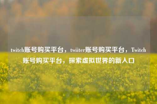twitch账号购买平台，twiiter账号购买平台，Twitch账号购买平台，探索虚拟世界的新入口