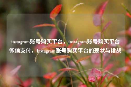instagram账号购买平台，instagram账号购买平台微信支付，Instagram账号购买平台的现状与挑战