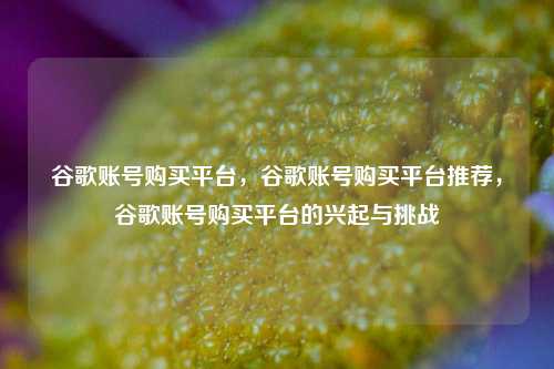 谷歌账号购买平台，谷歌账号购买平台推荐，谷歌账号购买平台的兴起与挑战