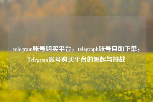 telegram账号购买平台，telegraph账号自助下单，Telegram账号购买平台的崛起与挑战