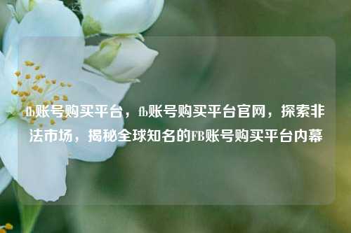 fb账号购买平台，fb账号购买平台官网，探索非法市场，揭秘全球知名的FB账号购买平台内幕