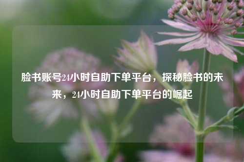 脸书账号24小时自助下单平台，探秘脸书的未来，24小时自助下单平台的崛起