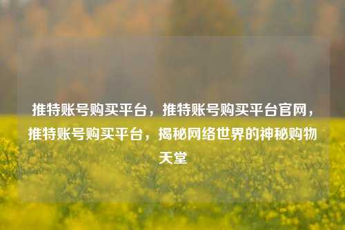 推特账号购买平台，推特账号购买平台官网，推特账号购买平台，揭秘网络世界的神秘购物天堂