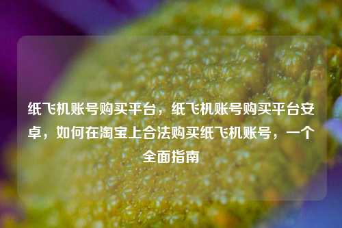 纸飞机账号购买平台，纸飞机账号购买平台安卓，如何在淘宝上合法购买纸飞机账号，一个全面指南