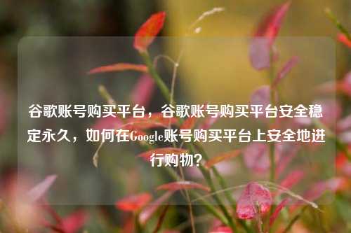 谷歌账号购买平台，谷歌账号购买平台安全稳定永久，如何在Google账号购买平台上安全地进行购物？