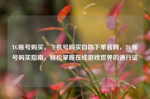 TG账号购买，飞机号购买自助下单官网，TG账号购买指南，轻松掌握在线游戏世界的通行证