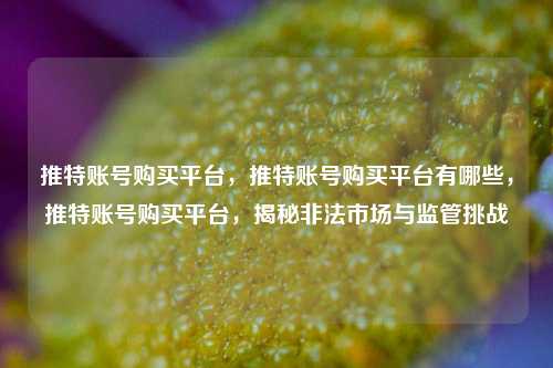 推特账号购买平台，推特账号购买平台有哪些，推特账号购买平台，揭秘非法市场与监管挑战