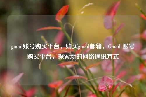 gmail账号购买平台，购买gmail邮箱，Gmail 账号购买平台，探索新的网络通讯方式