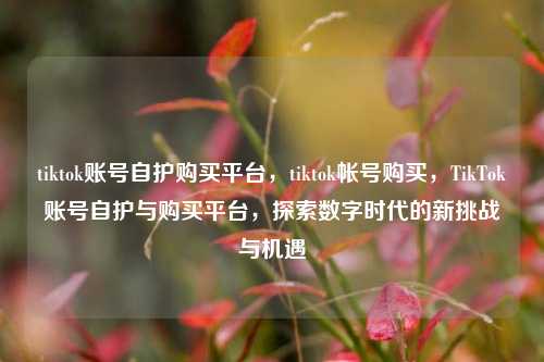 tiktok账号自护购买平台，tiktok帐号购买，TikTok账号自护与购买平台，探索数字时代的新挑战与机遇