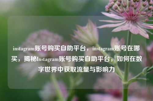 instagram账号购买自助平台，instagram账号在哪买，揭秘Instagram账号购买自助平台，如何在数字世界中获取流量与影响力