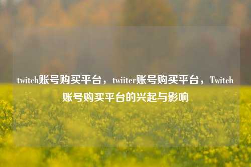 twitch账号购买平台，twiiter账号购买平台，Twitch账号购买平台的兴起与影响