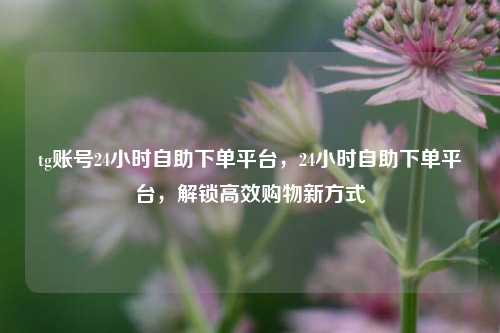 tg账号24小时自助下单平台，24小时自助下单平台，解锁高效购物新方式