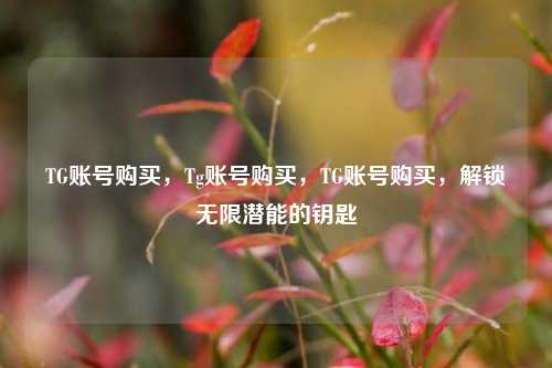 TG账号购买，Tg账号购买，TG账号购买，解锁无限潜能的钥匙