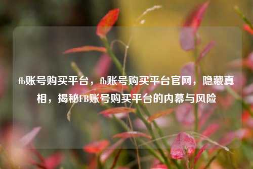 fb账号购买平台，fb账号购买平台官网，隐藏真相，揭秘FB账号购买平台的内幕与风险