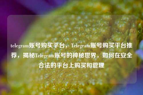 telegram账号购买平台，Telegram账号购买平台推荐，揭秘Telegram账号的神秘世界，如何在安全合法的平台上购买和管理