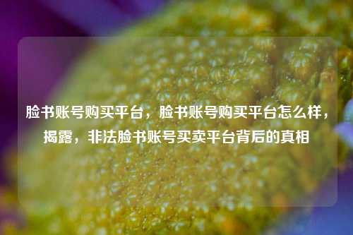 脸书账号购买平台，脸书账号购买平台怎么样，揭露，非法脸书账号买卖平台背后的真相