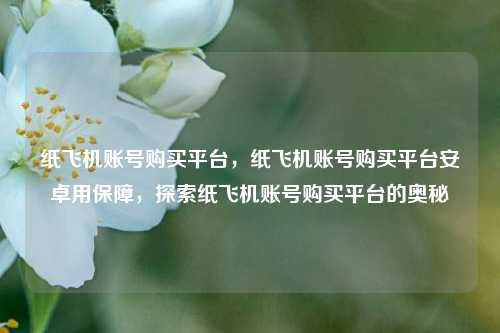 纸飞机账号购买平台，纸飞机账号购买平台安卓用保障，探索纸飞机账号购买平台的奥秘
