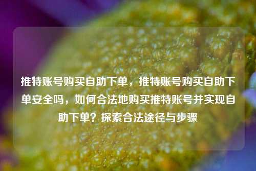推特账号购买自助下单，推特账号购买自助下单安全吗，如何合法地购买推特账号并实现自助下单？探索合法途径与步骤