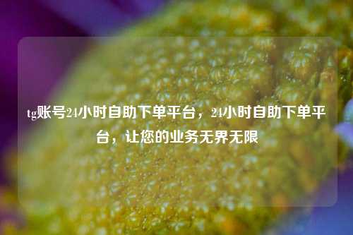 tg账号24小时自助下单平台，24小时自助下单平台，让您的业务无界无限