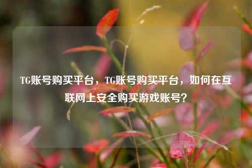 TG账号购买平台，TG账号购买平台，如何在互联网上安全购买游戏账号？