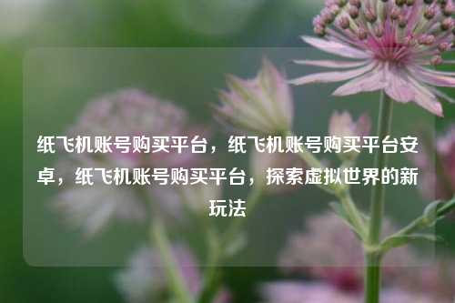 纸飞机账号购买平台，纸飞机账号购买平台安卓，纸飞机账号购买平台，探索虚拟世界的新玩法