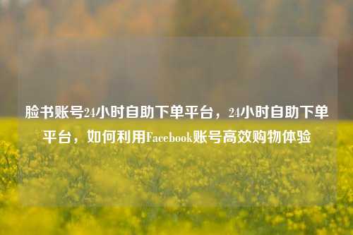 脸书账号24小时自助下单平台，24小时自助下单平台，如何利用Facebook账号高效购物体验