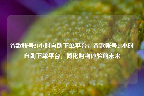 谷歌账号24小时自助下单平台，谷歌账号24小时自助下单平台，简化购物体验的未来