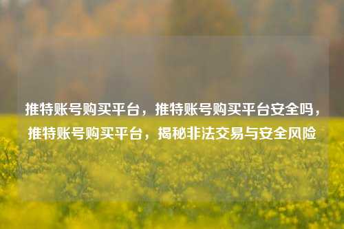 推特账号购买平台，推特账号购买平台安全吗，推特账号购买平台，揭秘非法交易与安全风险