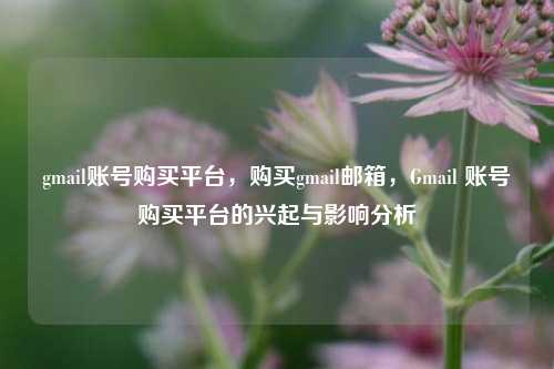 gmail账号购买平台，购买gmail邮箱，Gmail 账号购买平台的兴起与影响分析