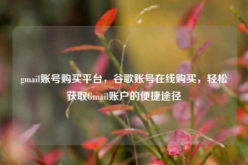 gmail账号购买平台，谷歌账号在线购买，轻松获取Gmail账户的便捷途径