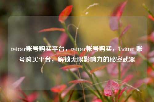 twitter账号购买平台，twitter帐号购买，Twitter 账号购买平台，解锁无限影响力的秘密武器