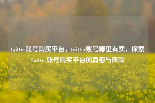 twitter账号购买平台，twitter账号哪里有卖，探索Twitter账号购买平台的真相与风险